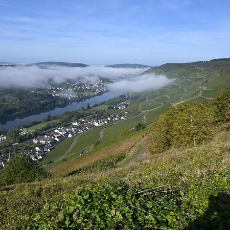 Im Weingarten