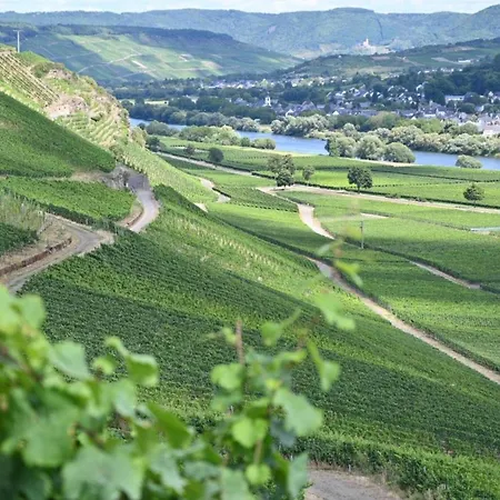 Im Weingarten Graach